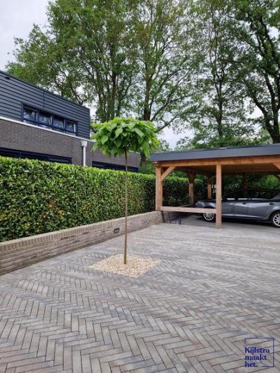 Patio dikformaat XL 28x7x8 cm ocean