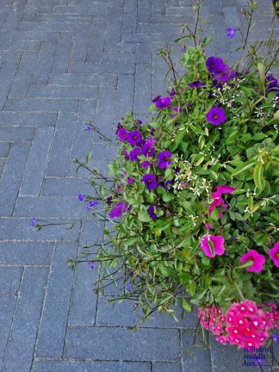 Dikformaat XL 28x7x8 cm antraciet (320 stuks per pak)