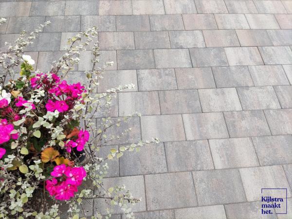 H2O comfort square 20x30x6 cm tricolore